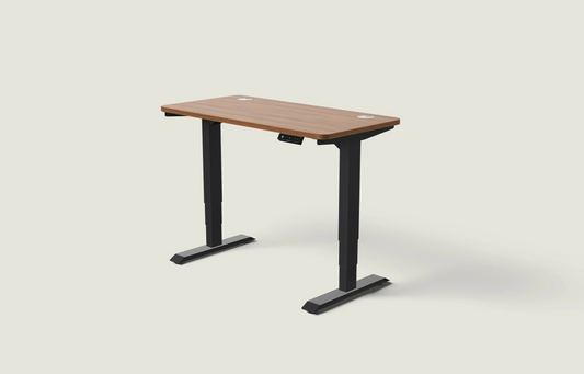 Slyora - Bureau assis-debout électrique réglable pour espace de travail