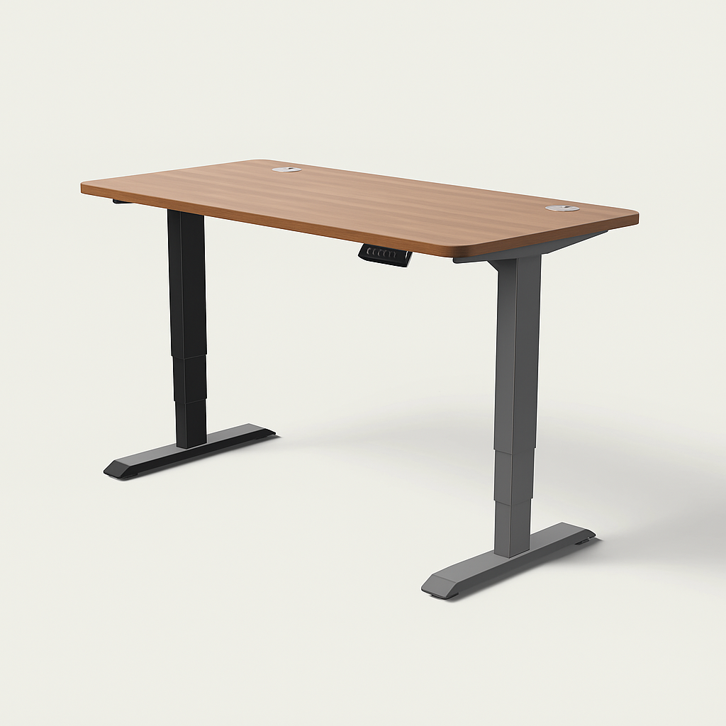 Slyora – Bureau assis-debout électrique réglable pour télétravail
