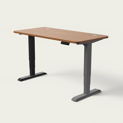 Slyora – Bureau assis-debout électrique réglable pour télétravail