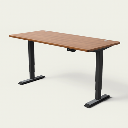Slyora – Bureau assis-debout électrique réglable pour télétravail