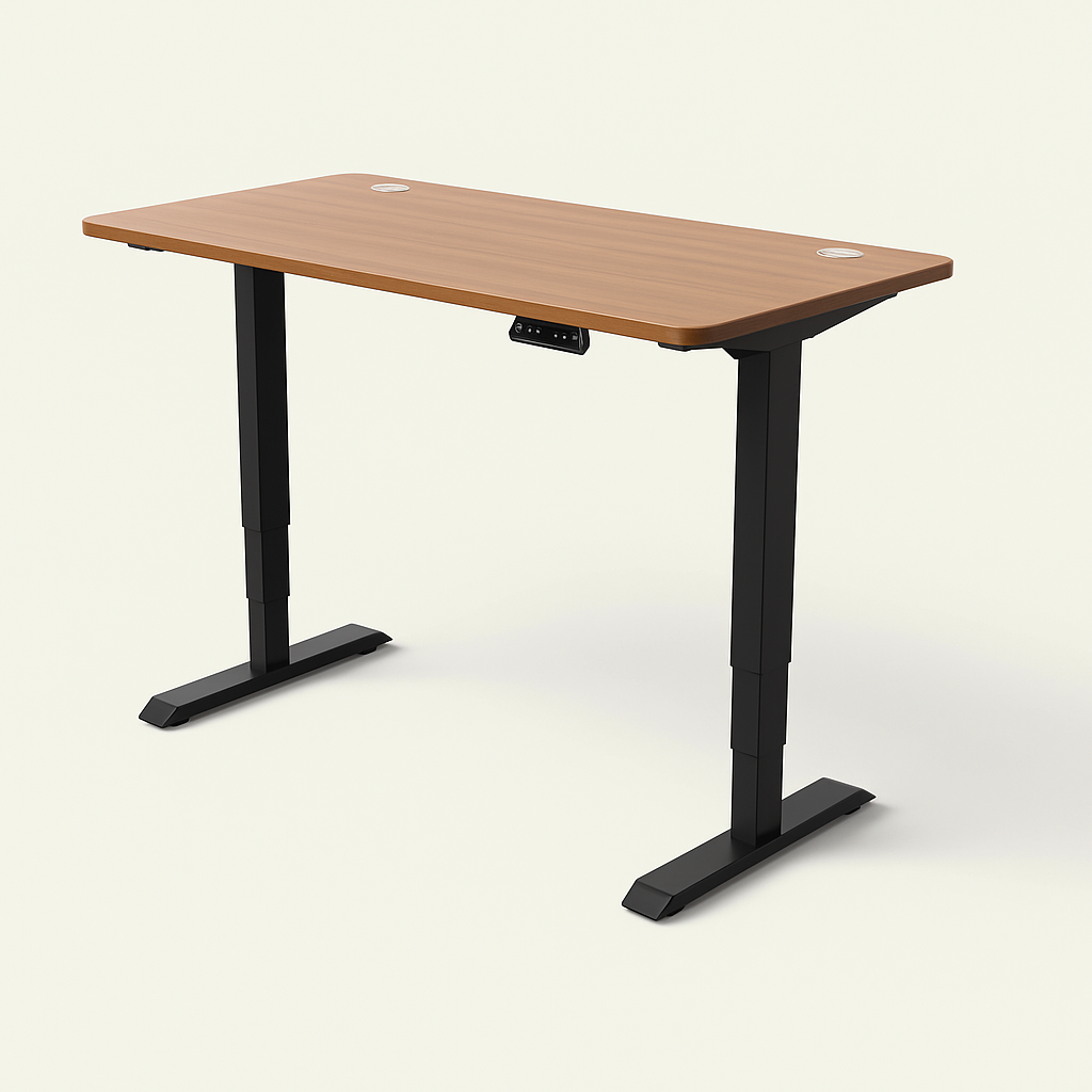 Slyora – Bureau assis-debout électrique réglable pour télétravail