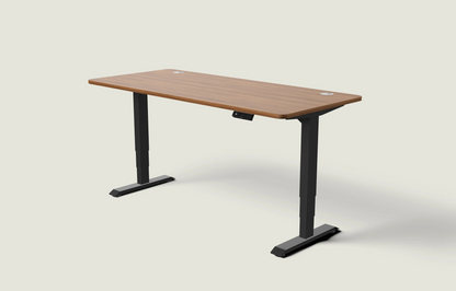 Slyora - Bureau assis-debout électrique réglable pour espace de travail