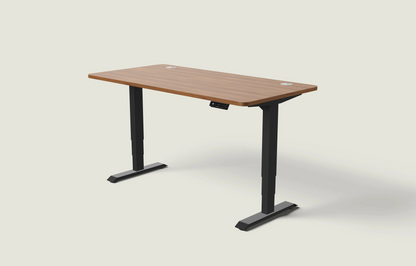 Slyora - Bureau assis-debout électrique réglable pour espace de travail